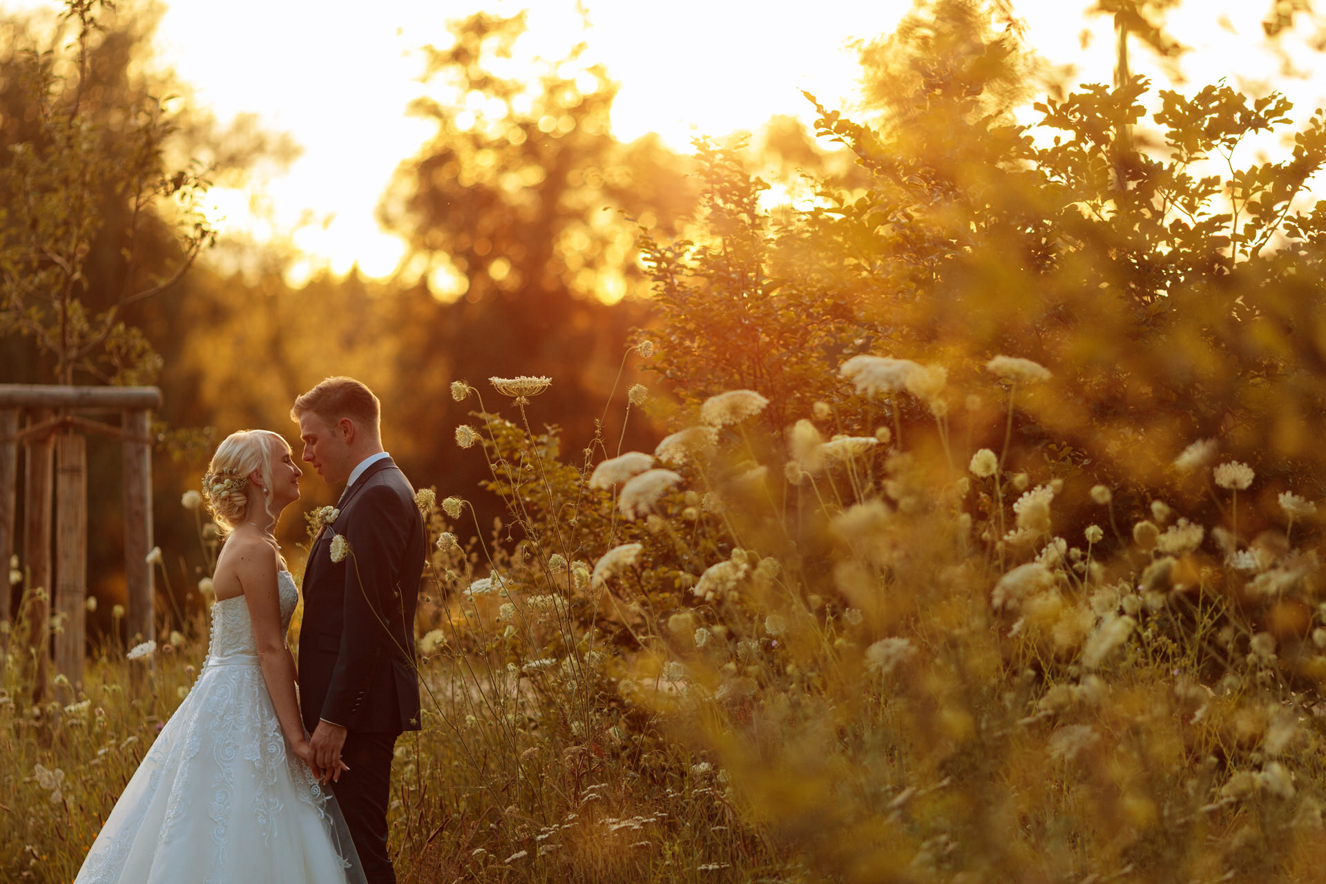 Hochzeitspaar im Abendlicht