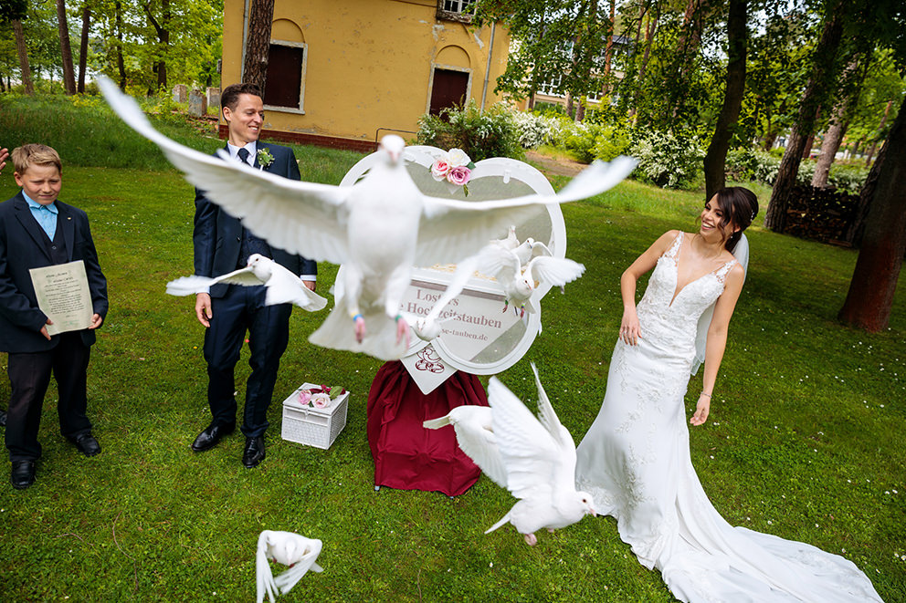 Bei der Hochzeit werden Tauben fliegen gelassen