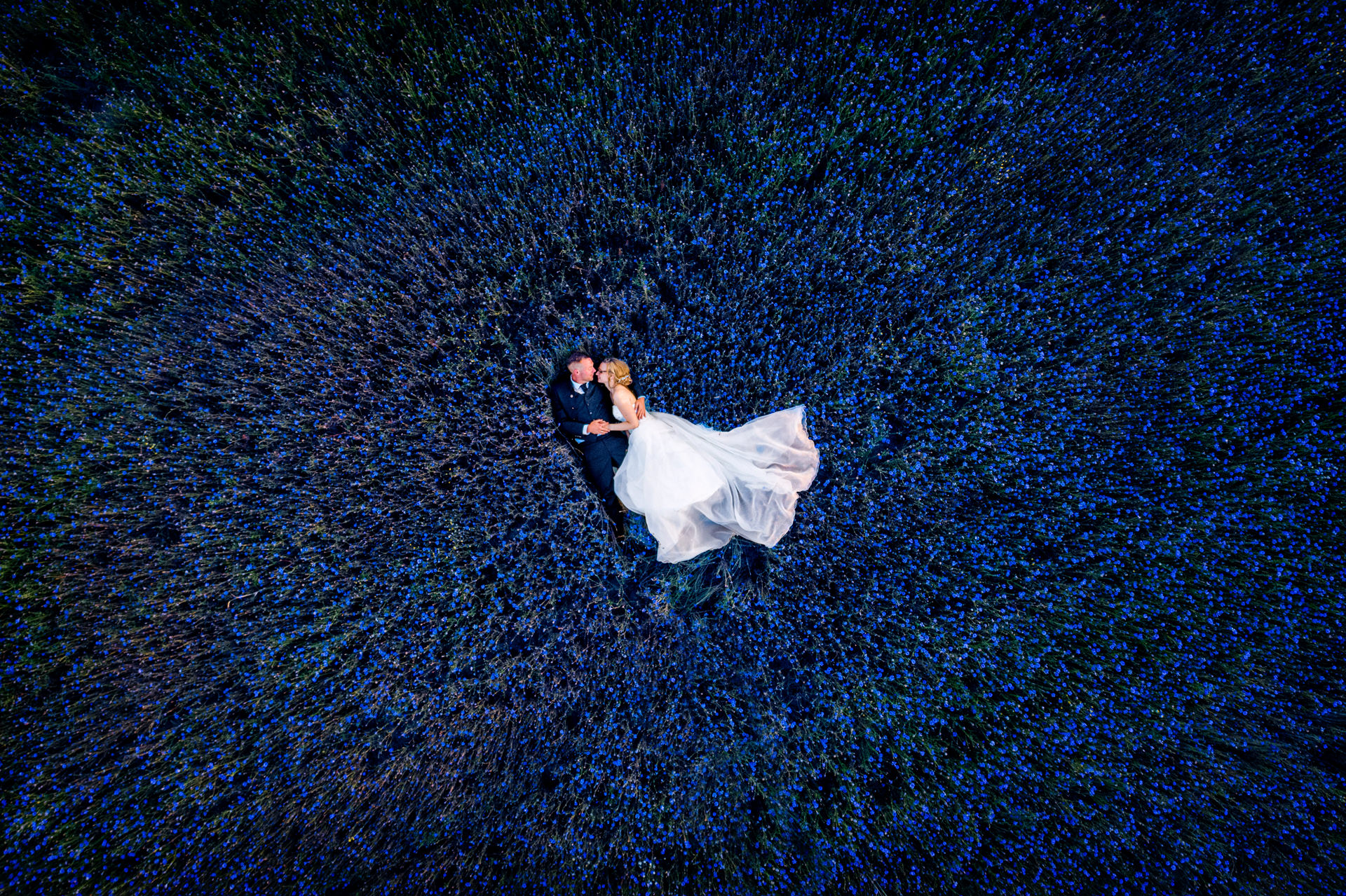 Drohnenbild mit einem Hochzeitspaar im Feld in Brandenburg
