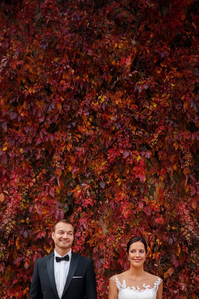 Das Brautpaar vor einer rot leuchtenden Blätterwand im Herbst am Rittmeister in Kemnitz Das Brautpaar vor einer rot leuchtenden Blätterwand im Herbst am Rittmeister in Kemnitz