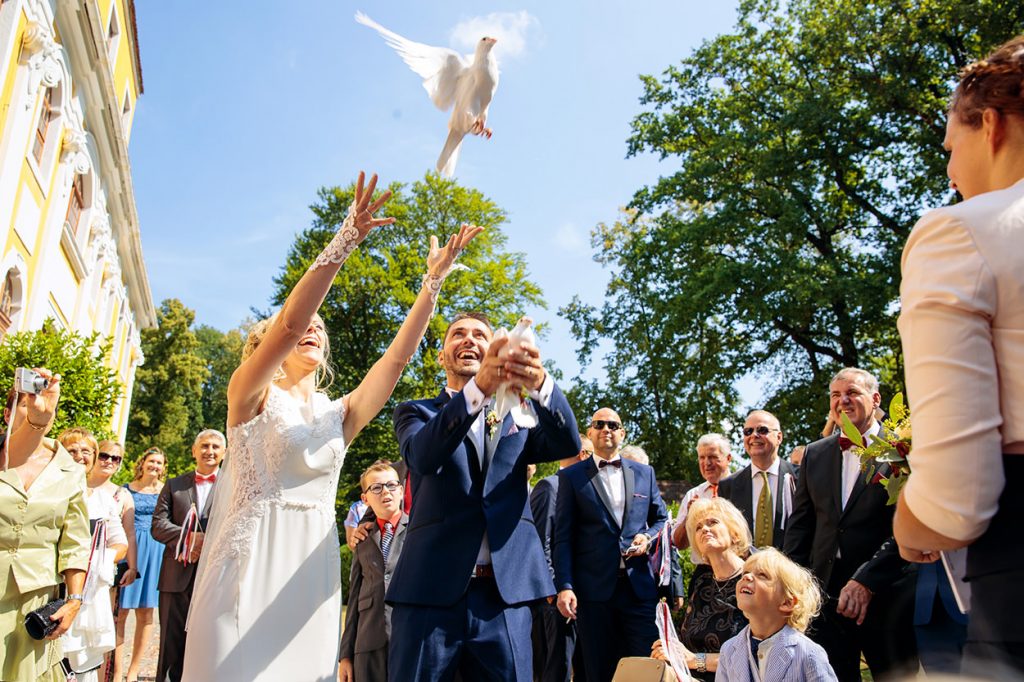 Tauben fliegen lassen auf Schloss Neschwitz