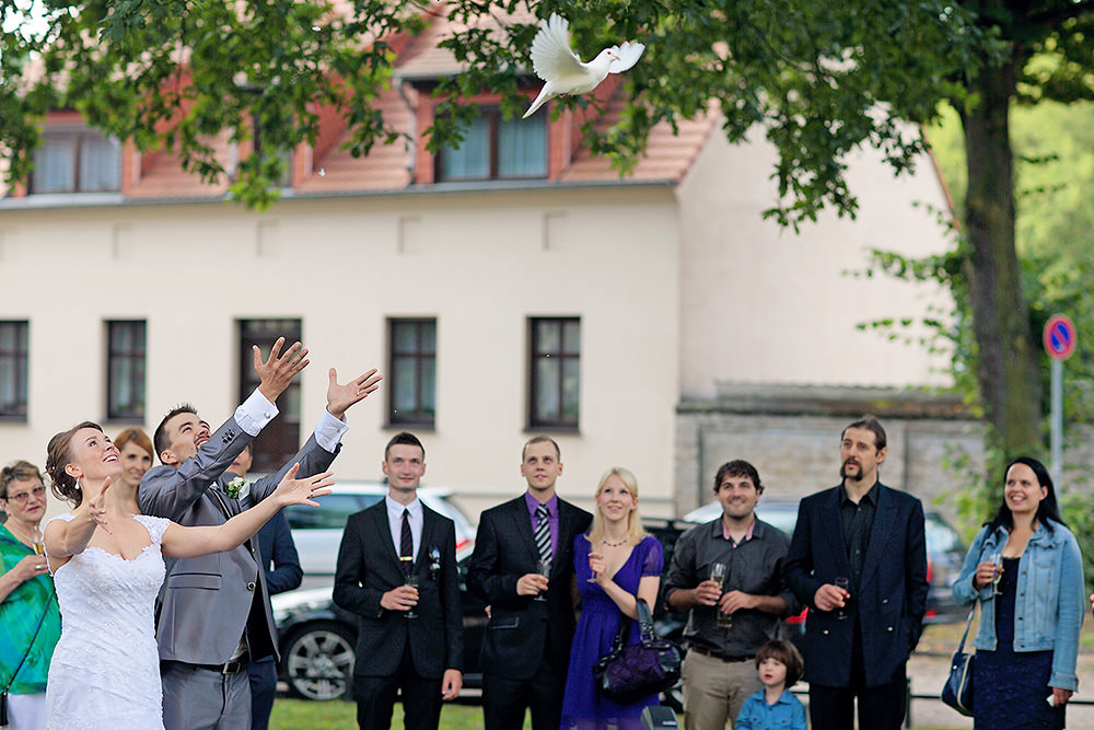 Gratulationen mit Abflug der Tauben