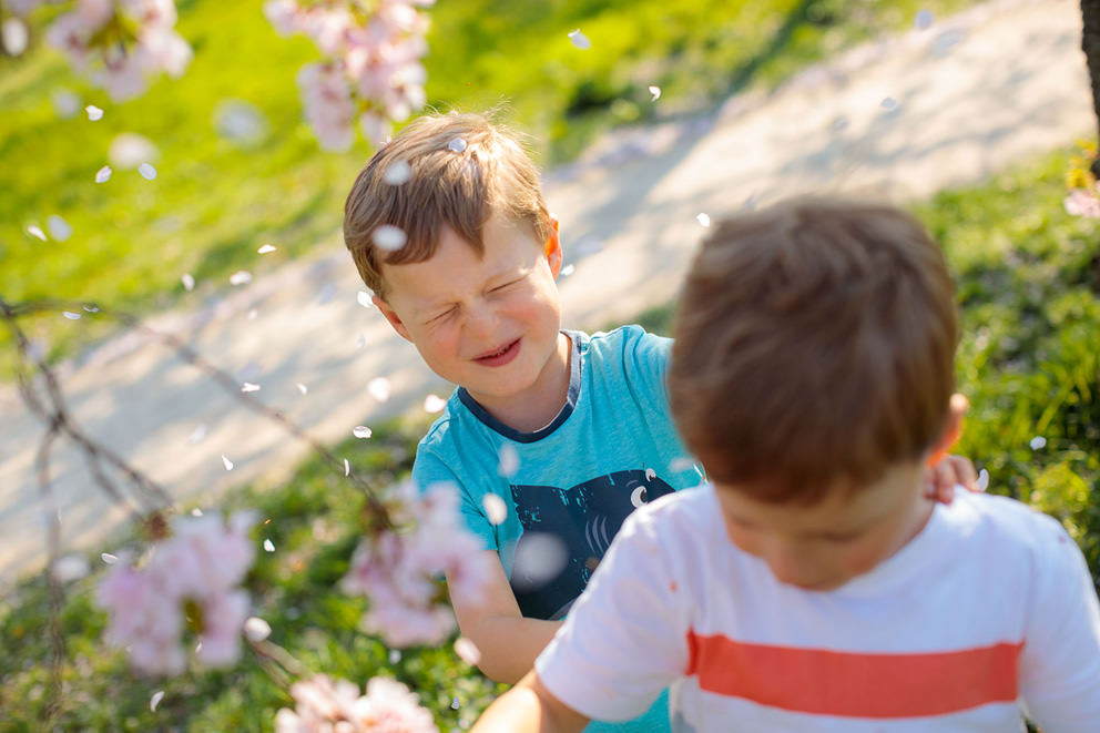 Kreative Familienfotos mit Kindern bei Kirschblüte in Potsdam schießt der Kinderfotograf Kreative Familienfotos mit Kindern bei Kirschblüte in Potsdam schießt der Kinderfotograf