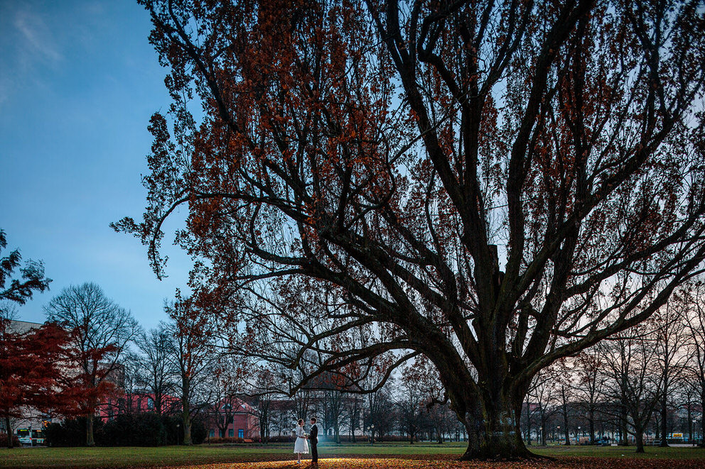 Brautpaar neben großen Baum am Bassinplatz Potsdam