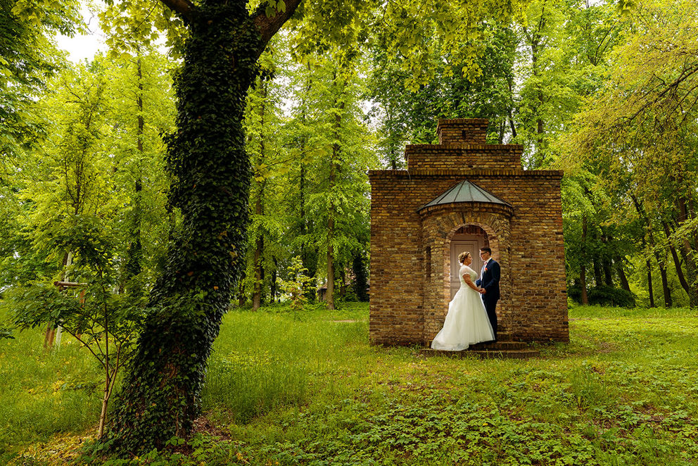 Hochzeitsfotograf Werder Petzow Paarfotos Wald
