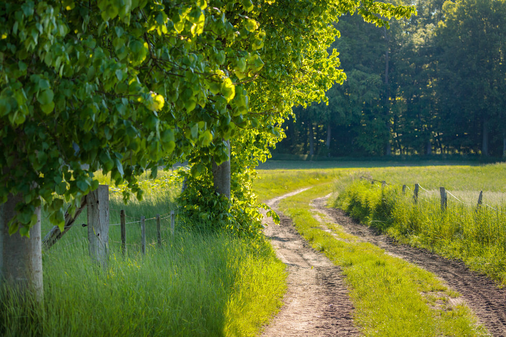 Ruhiger Feldweg zur Mittagszeit in der Nähe eines Ferienhauses