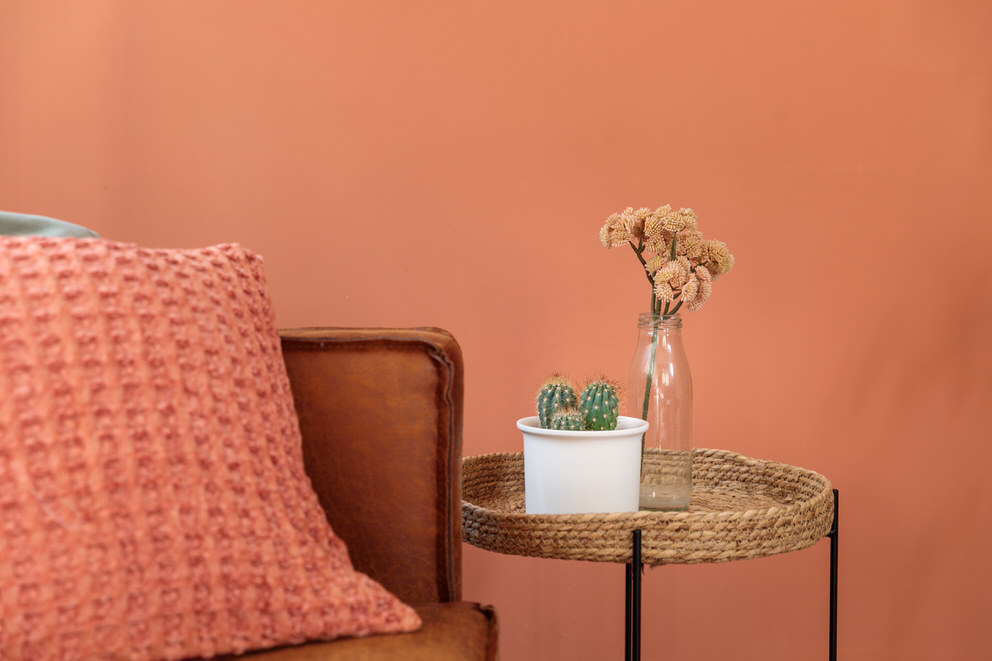 Dekorative Elemente in Ferienappartement