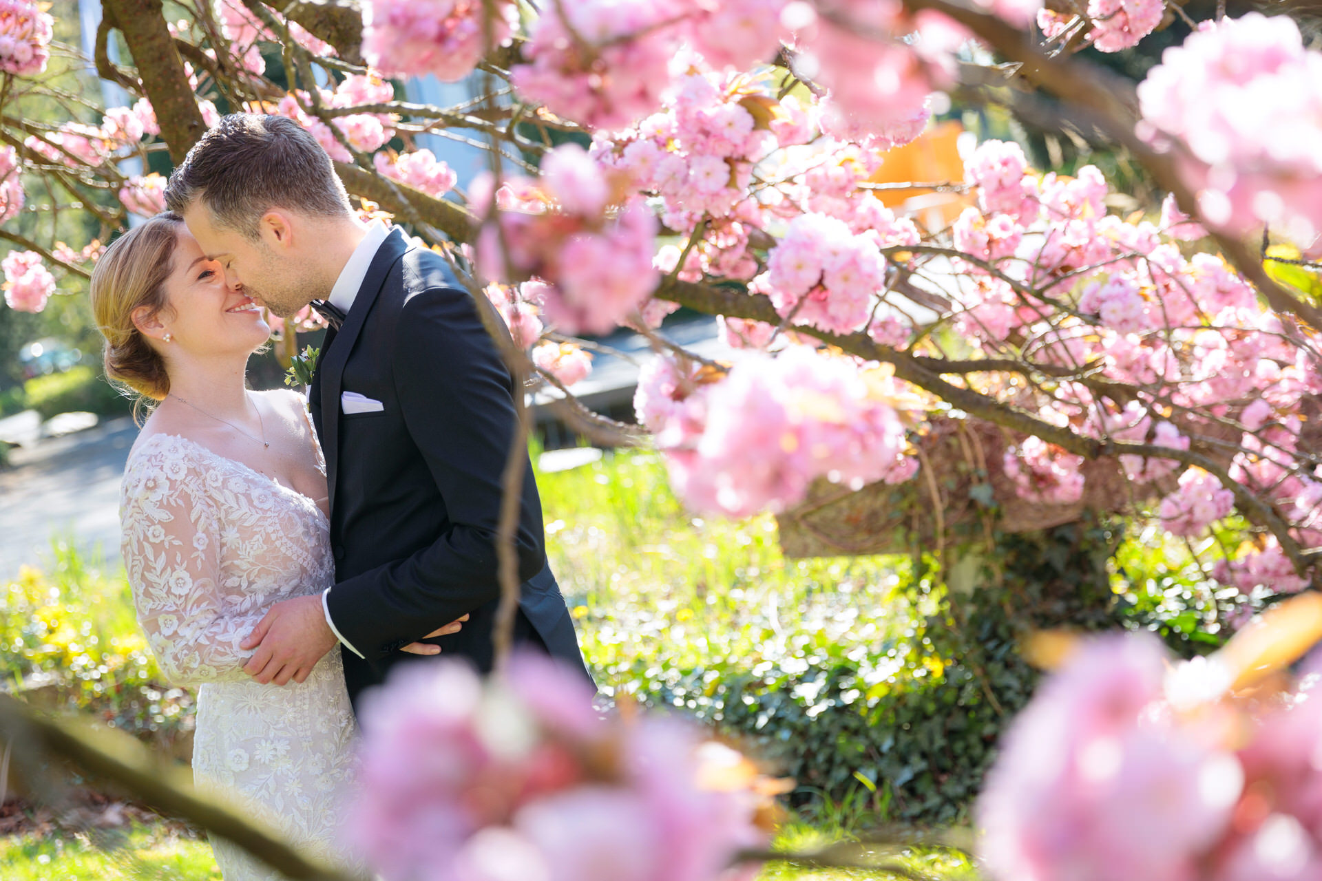 Ein Brautpaar steht innig unter einem blühenden Kirschbaum mit leuchtend rosa Blüten. Die Braut trägt ein elegantes Spitzenkleid mit tiefem Ausschnitt und langen Ärmeln, während der Bräutigam in einem klassischen schwarzen Anzug mit Fliege gekleidet ist. Sie lächeln sich verliebt an, während ihre Nasenspitzen sich fast berühren. Die Sonne scheint durch die Blüten, erzeugt ein warmes, sanftes Licht und verleiht der Szene eine romantische Frühlingsstimmung. Im Hintergrund ist eine grüne Gartenlandschaft mit einer steinernen Bank zu sehen.